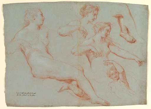 Four Studies of Recumbent Female Nudes (Galatea)