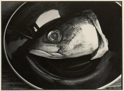 [Fish Head on Plate]
