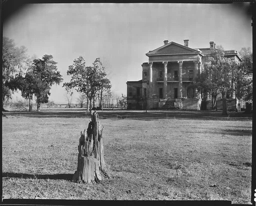 [Belle Grove Plantation with Tree Stump in Foreground, From Across Lawn, White Castle, Louisiana]