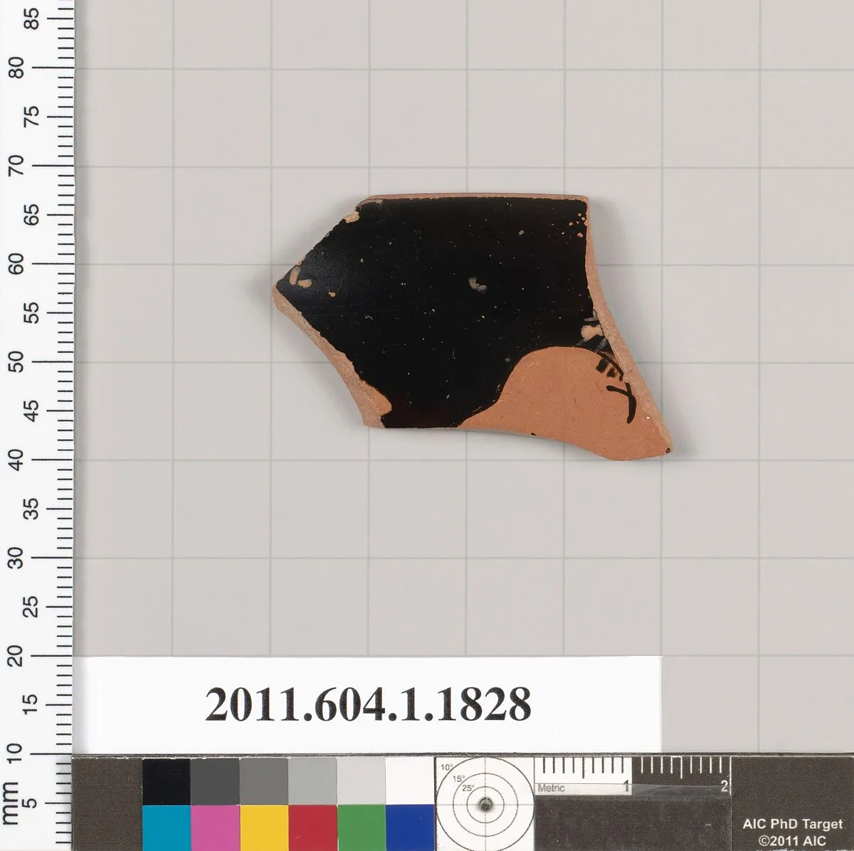 Terracotta rim fragment of a kylix (drinking cup) — Unknown