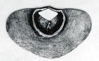 Nose Ornament