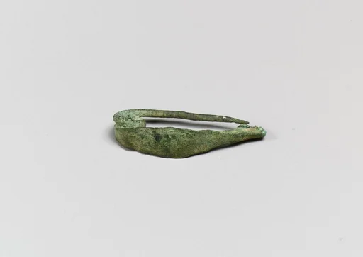 Fibula