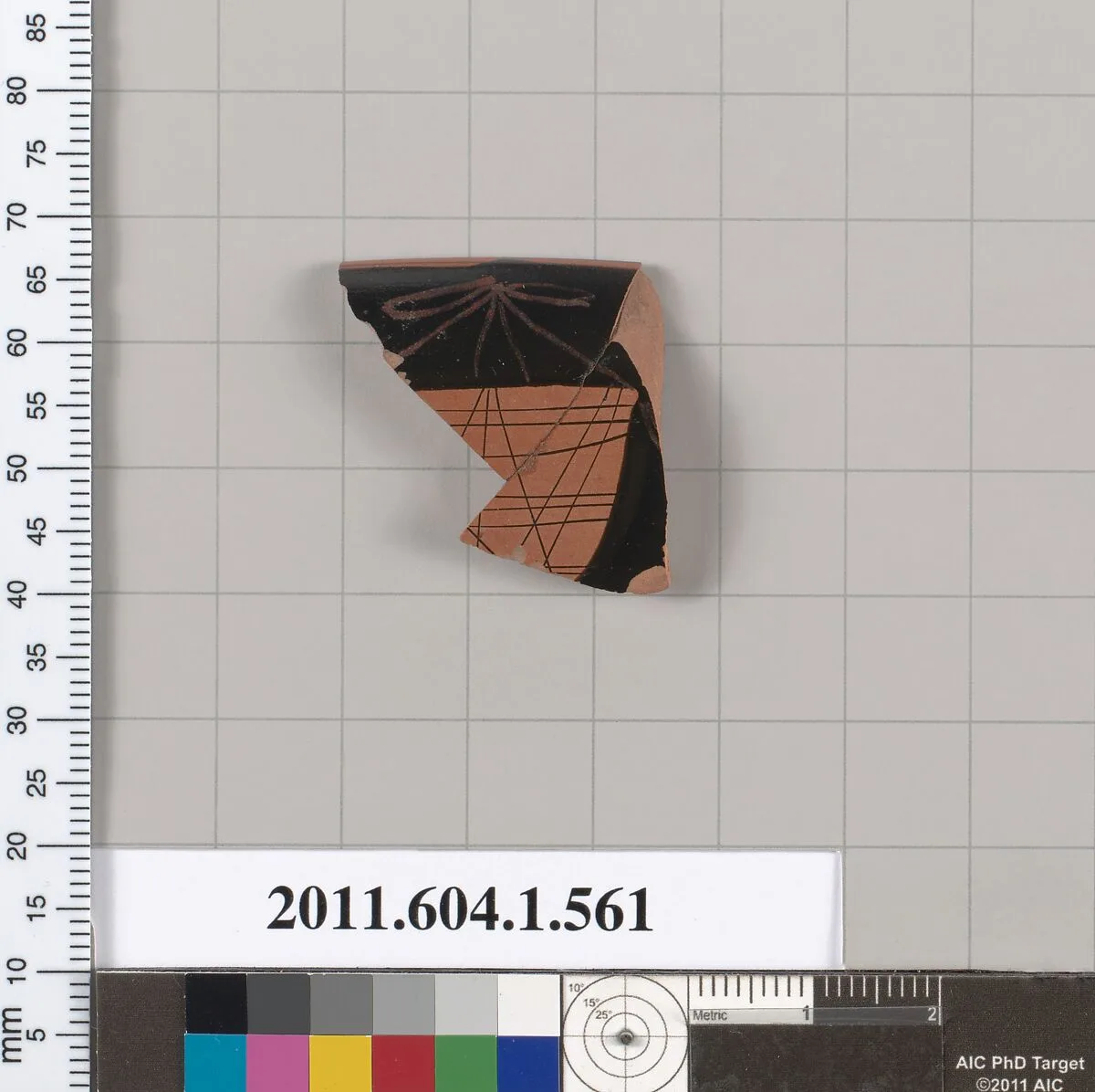 Terracotta rim fragment of a kylix (drinking cup) — Unknown