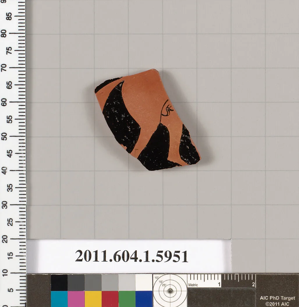 Terracotta fragment of a kylix (drinking cup) — Skythes