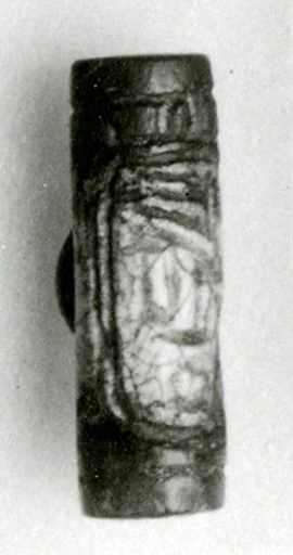 Cylinder Seal