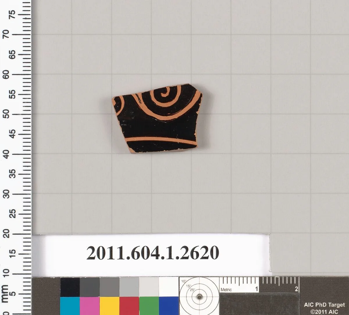 Terracotta fragment of a kylix (drinking cup) — Unknown