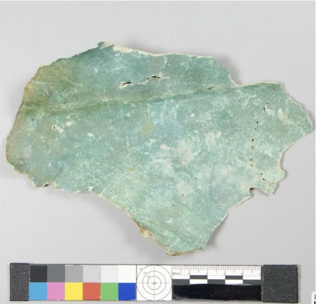 Leather fragment — Unknown