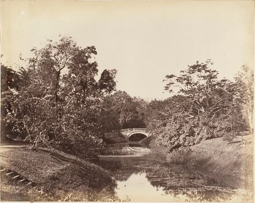 [Botanical Gardens, Calcutta]