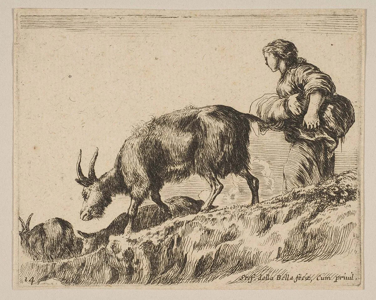 Plate 14: Shepherdess herding goats, from "Various animals" (Diversi animali) — Stefano della Bella|Pierre François Basan