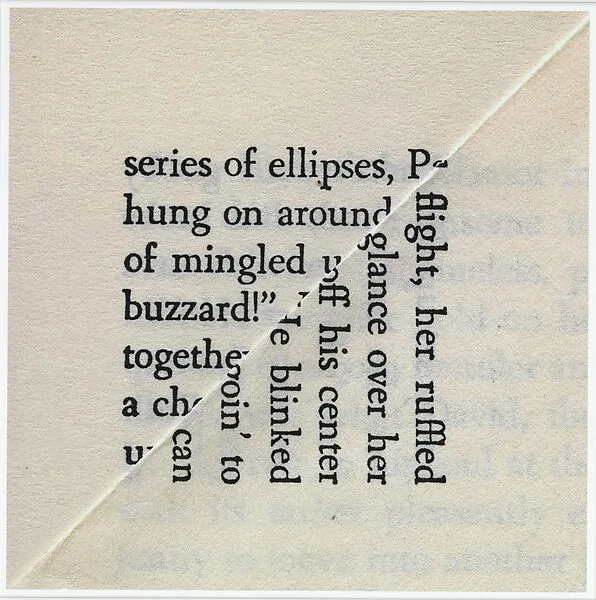 Buzzard — Erica Baum