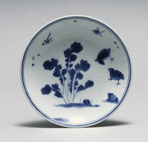 Dish