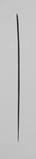 Needle