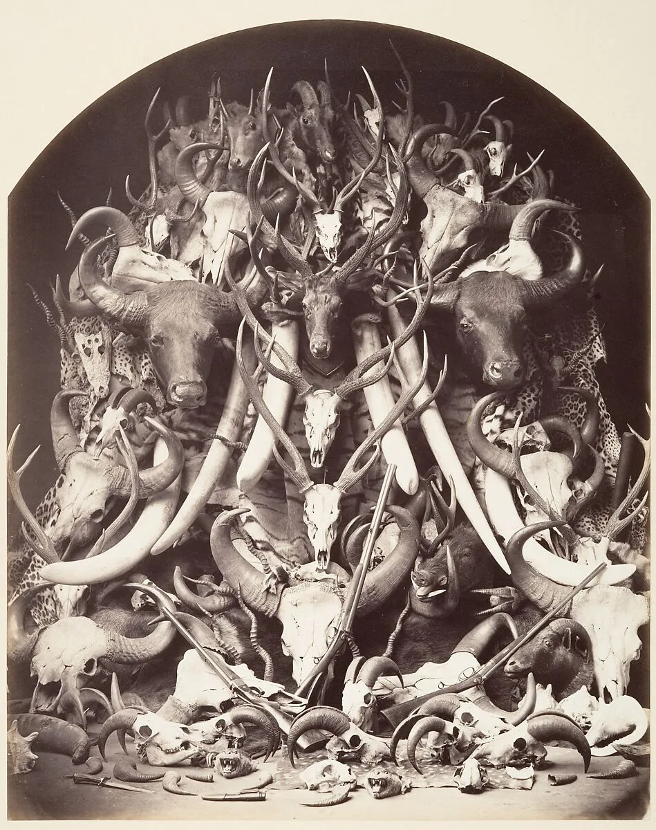 Hunting Trophies — Unknown