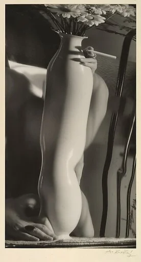 Distortion: Vase