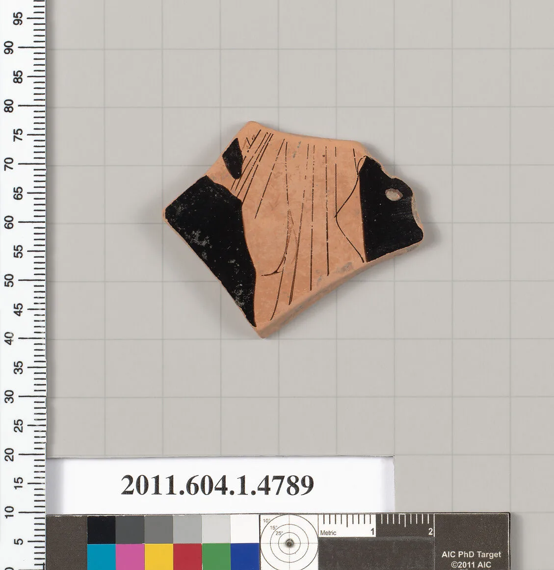Terracotta fragment of a kylix (drinking cup) — Unknown