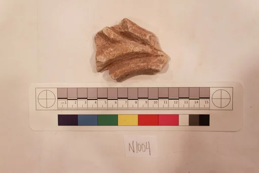Stucco Fragment