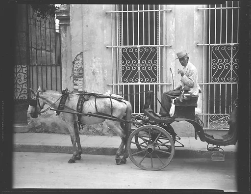 [Horse-Drawn Carriage, Havana]