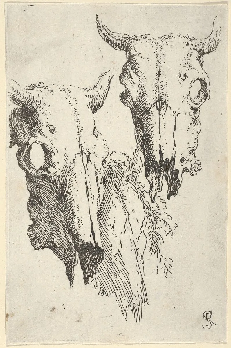 Two ox skulls and a portion of a third, study for "Democritus in Meditation" — Salvator Rosa