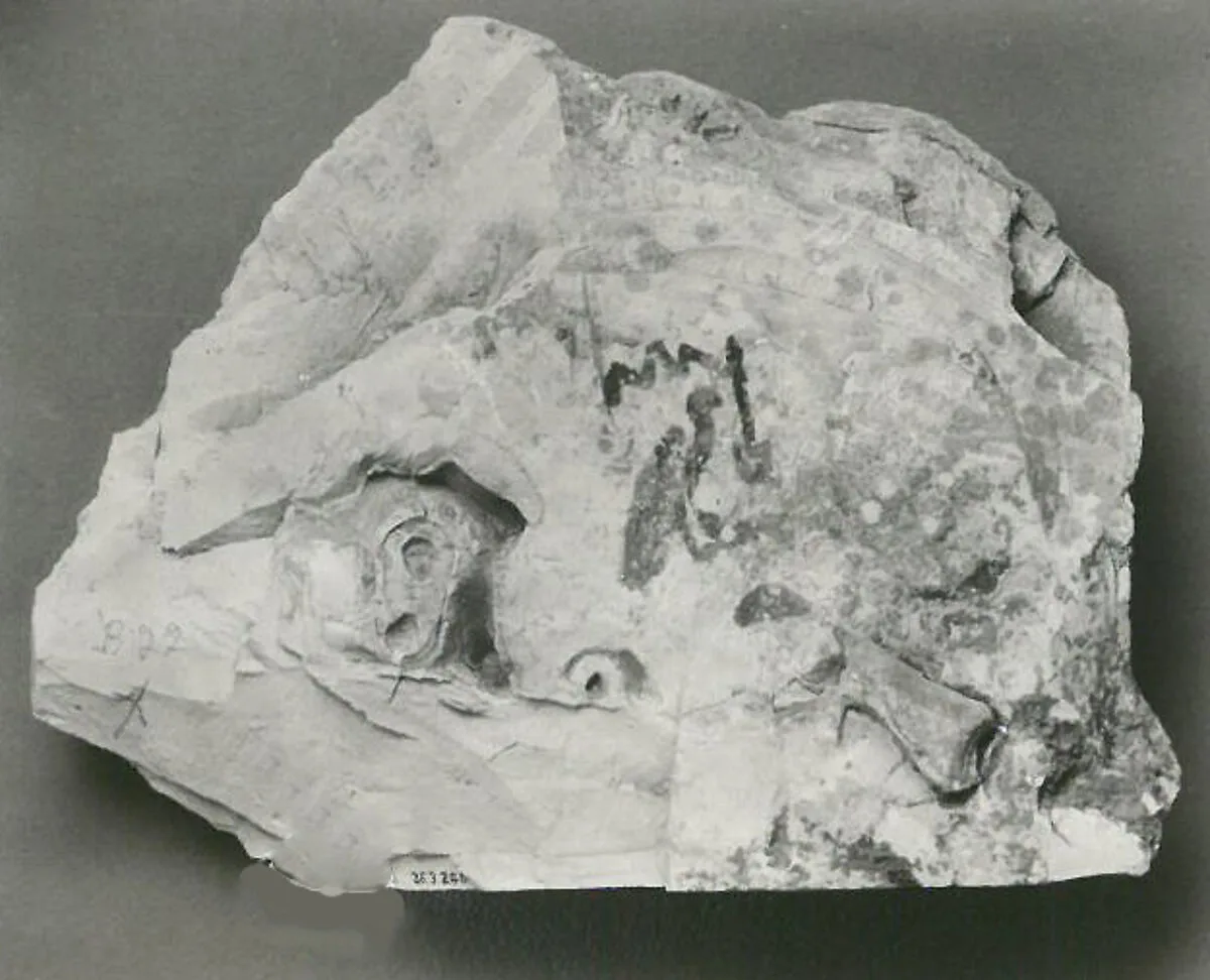 Name Stone of Senenmut — Unknown
