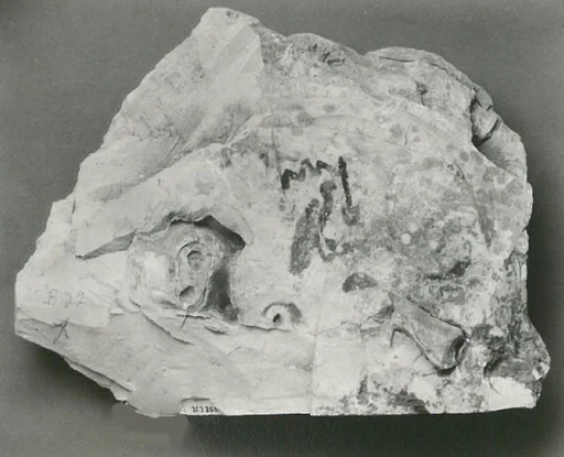 Name Stone of Senenmut