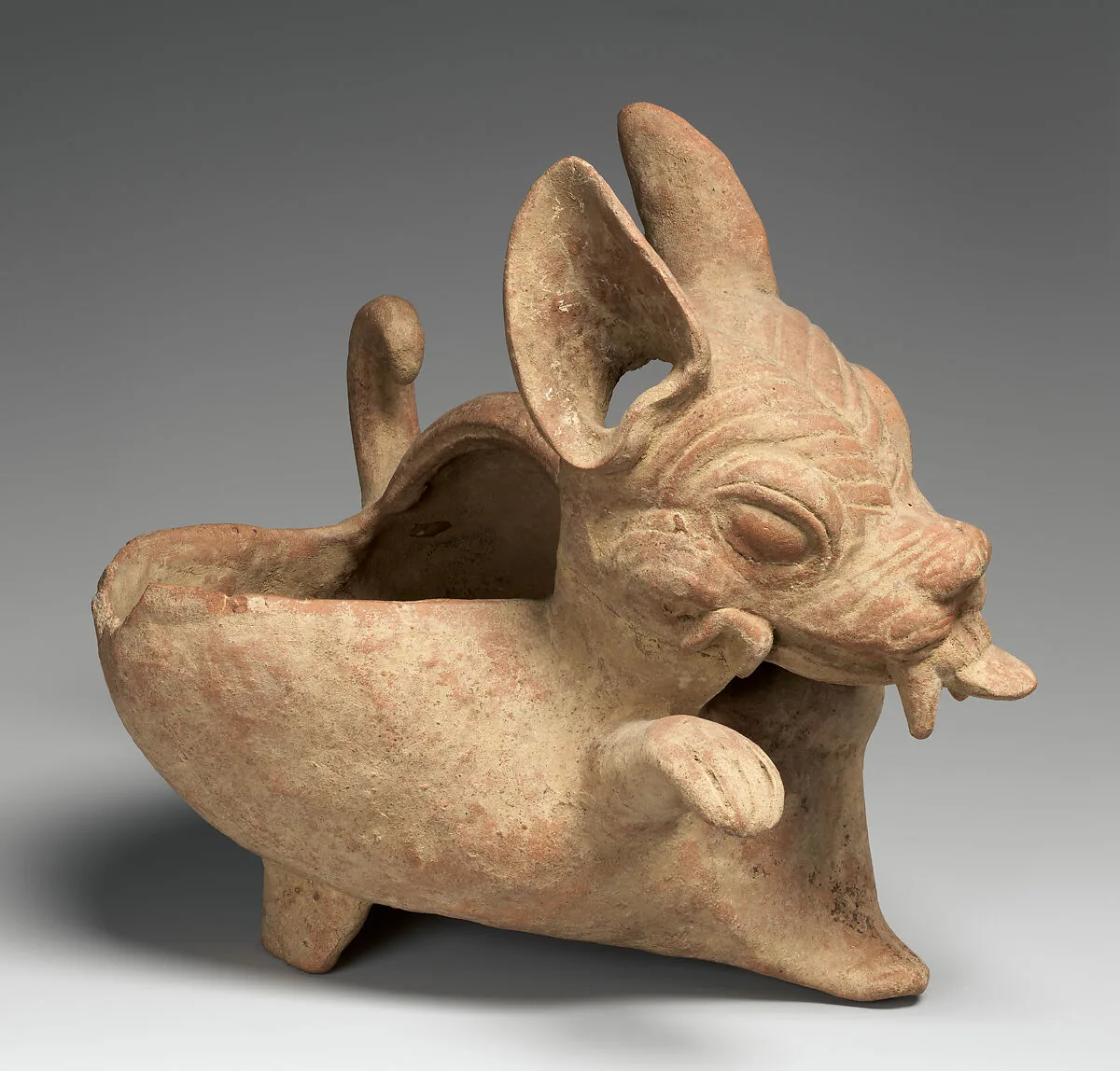 Canine Vessel — Unknown