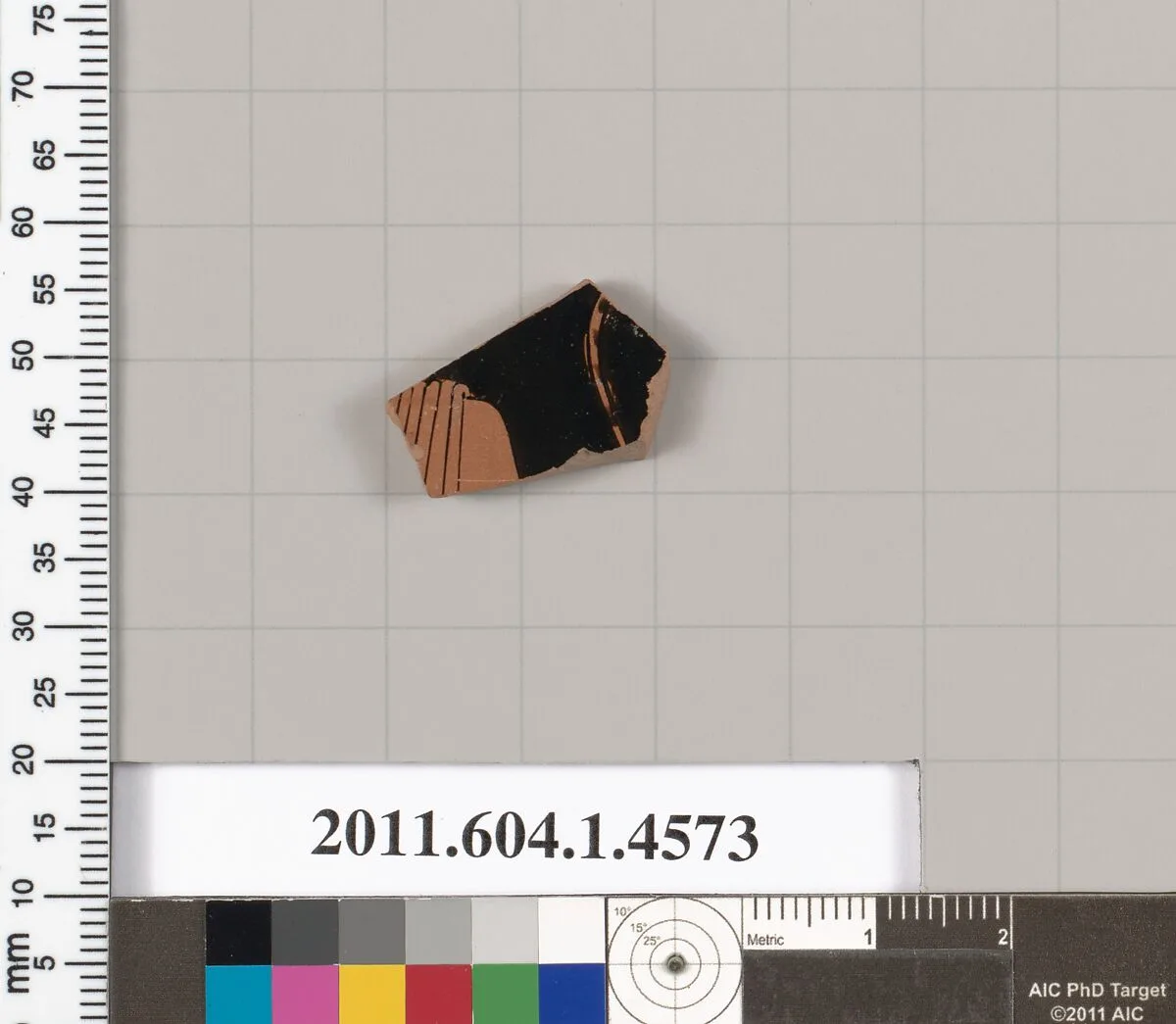 Terracotta fragment of a kylix (drinking cup) — Unknown