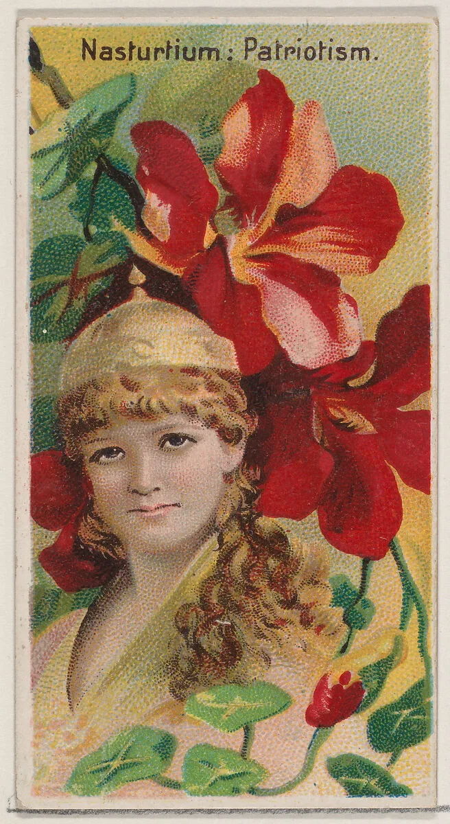 Nasturtium: Patriotism, from the series Floral Beauties and Language of Flowers (N75) for Duke brand cigarettes — Donaldson Brothers|American Tobacco Company