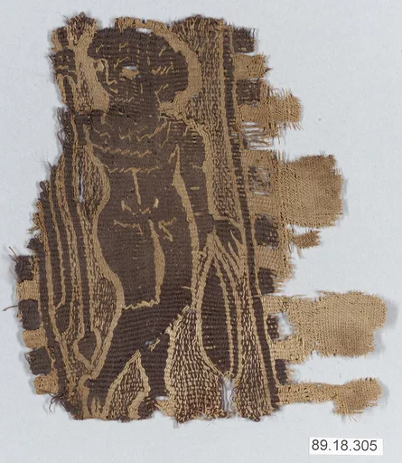 Textile Fragment