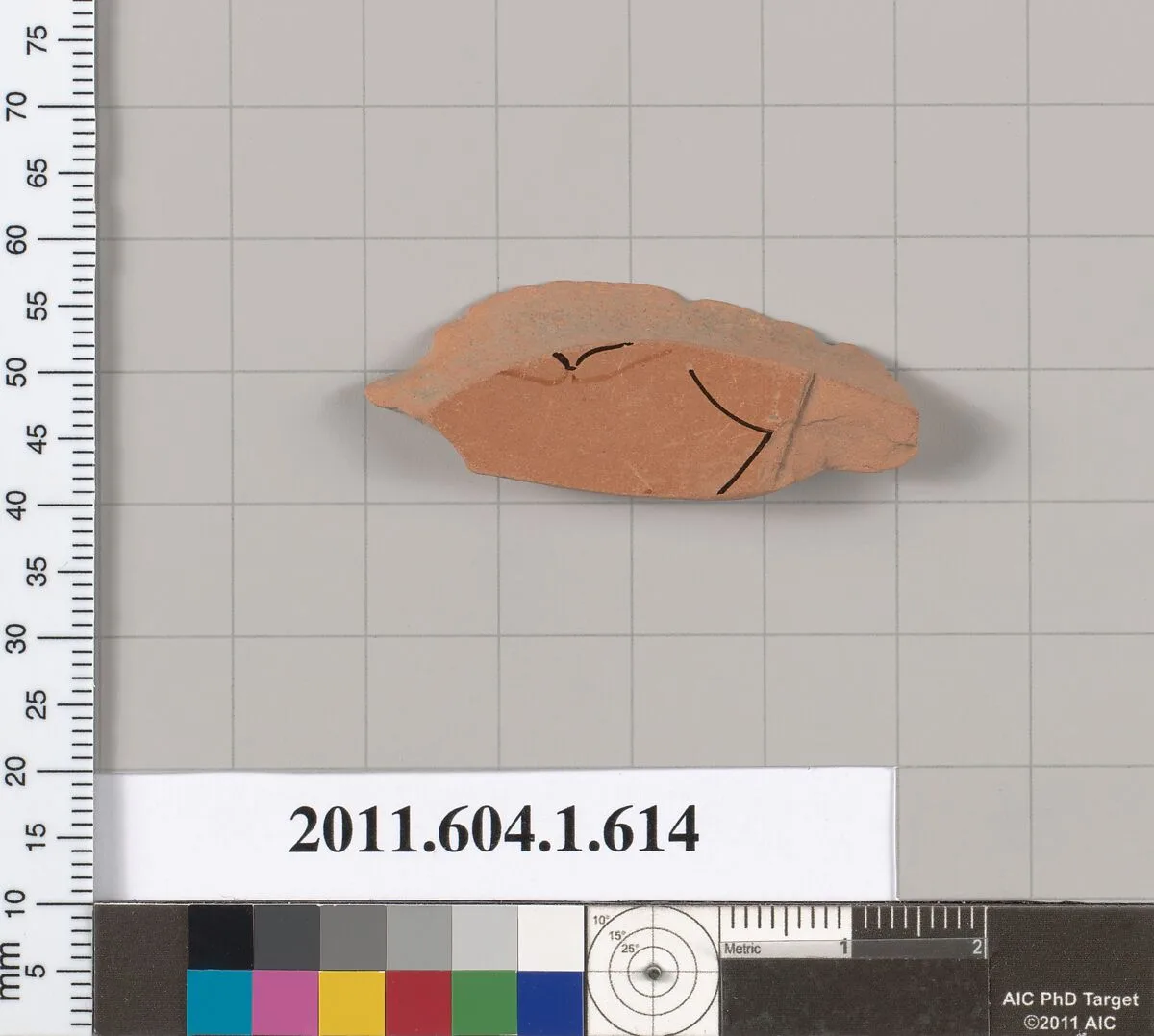 Terracotta fragment of a kylix (drinking cup) — Unknown