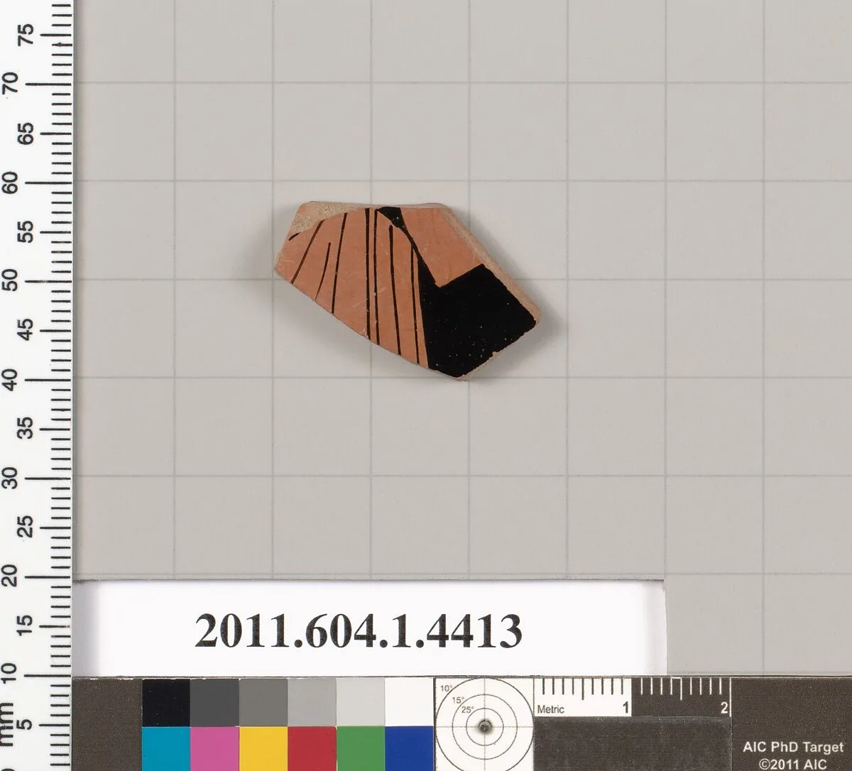 Terracotta fragment of a kylix (drinking cup) — Unknown
