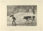 Hank and Min — Martin Lewis
