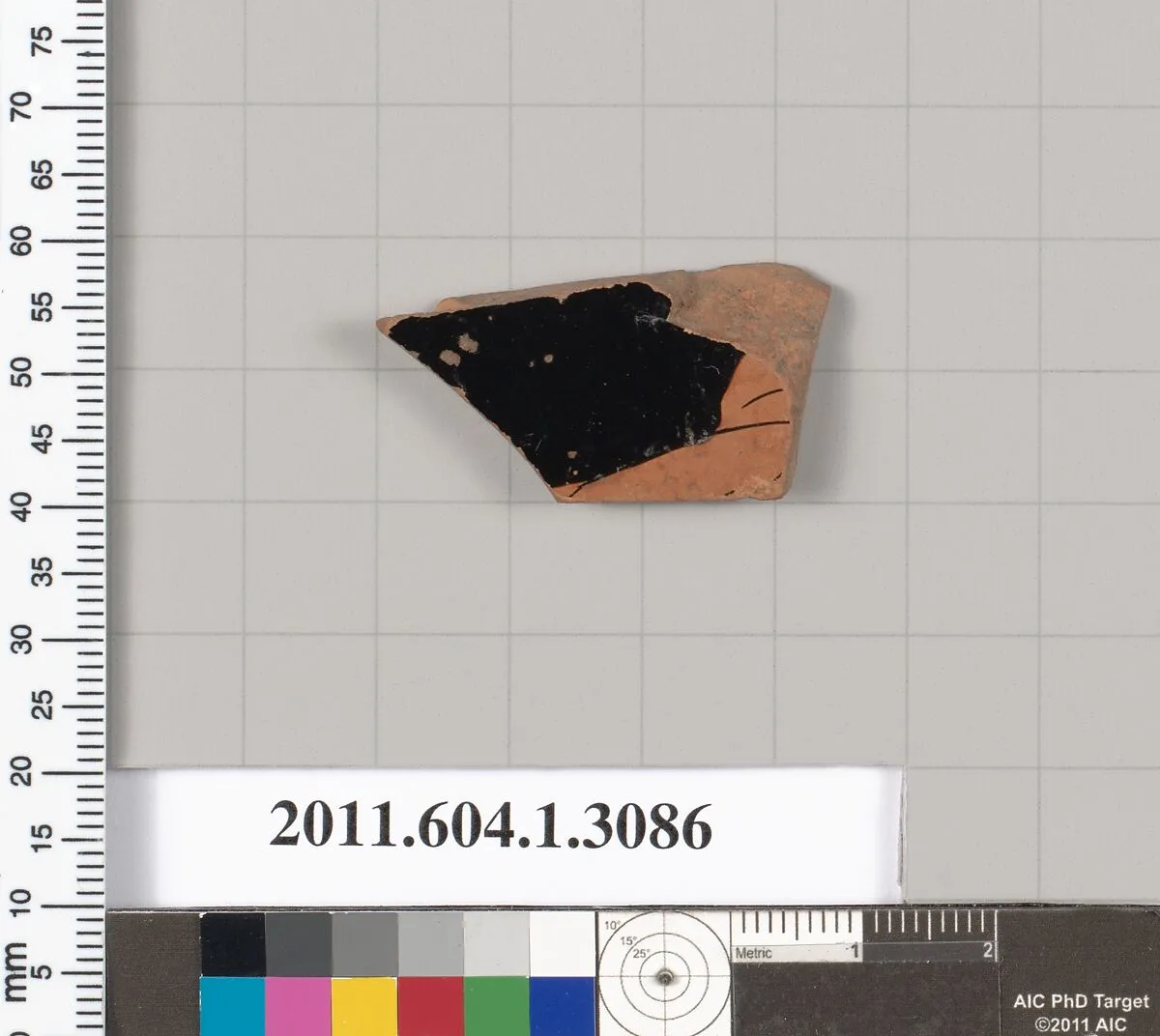 Terracotta fragment of a kylix (drinking cup) — Unknown