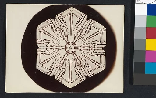 [Snow Crystal]