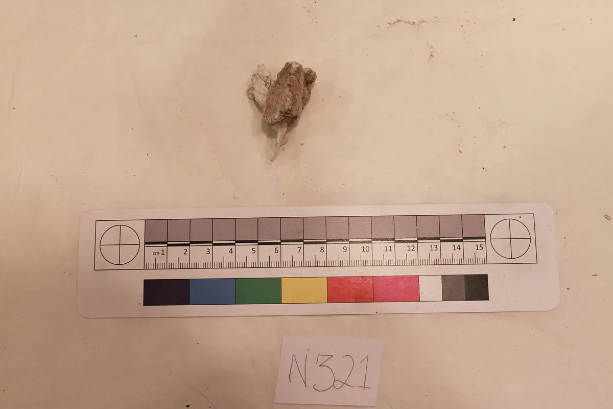 Stucco Fragment — Unknown