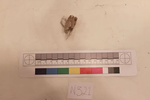 Stucco Fragment