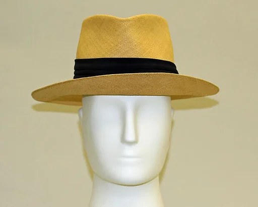 Panama hat
