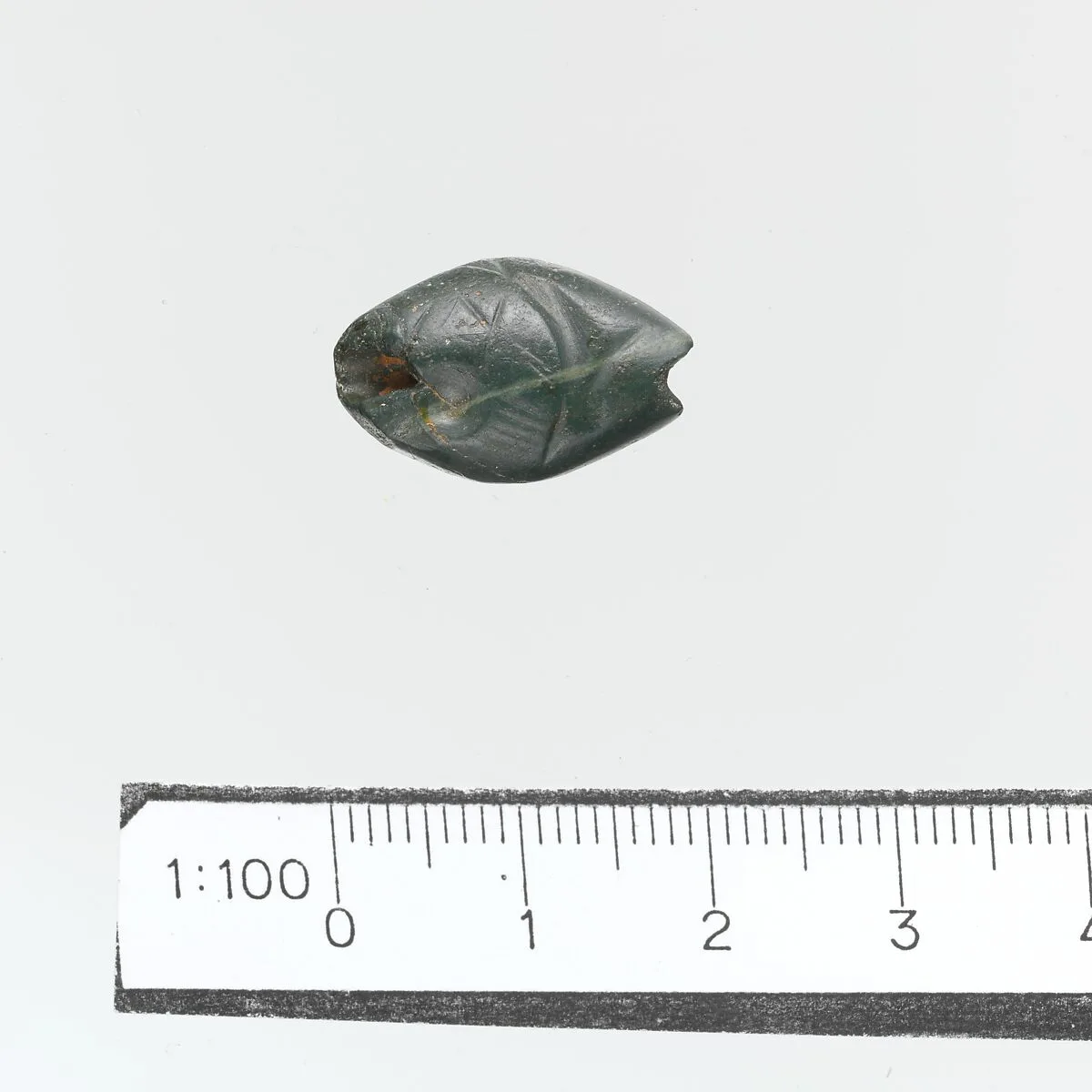 Seal — Unknown
