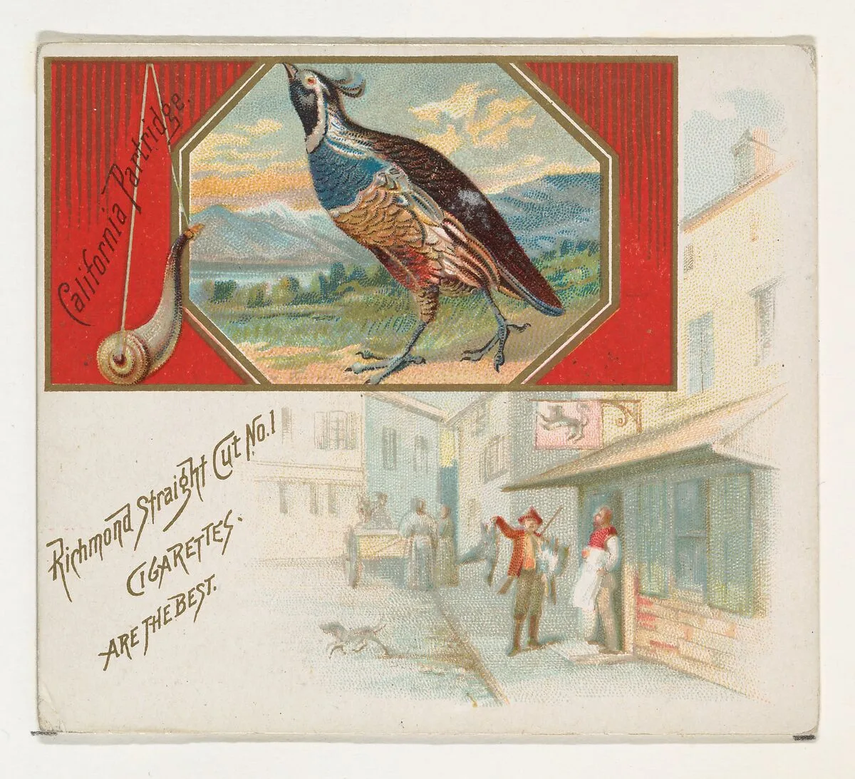 California Partridge, from the Game Birds series (N40) for Allen & Ginter Cigarettes — Allen & Ginter