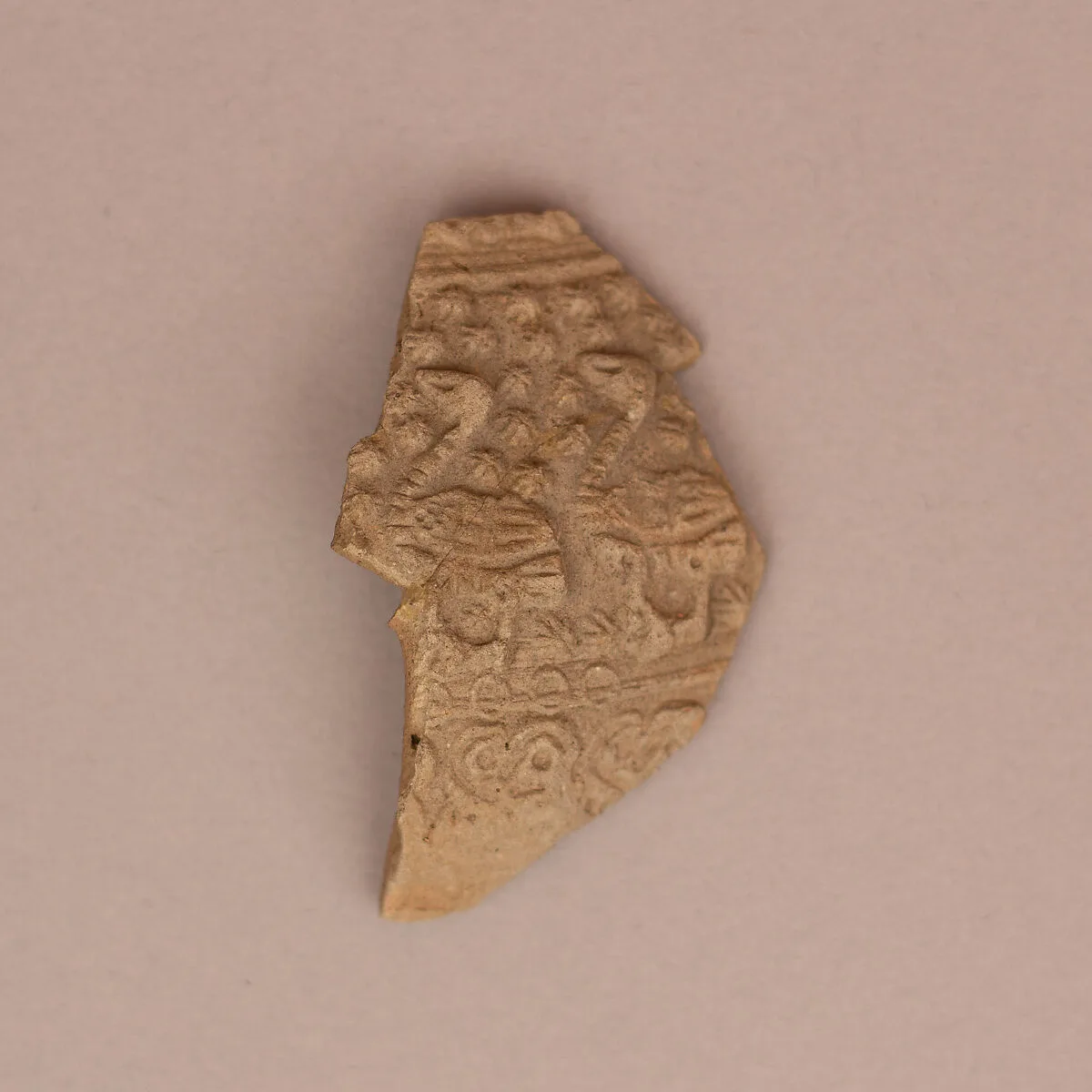 Fragment — Unknown
