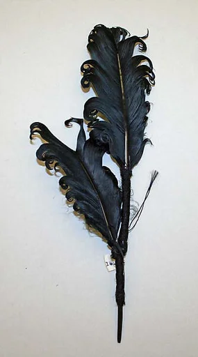 Feather
