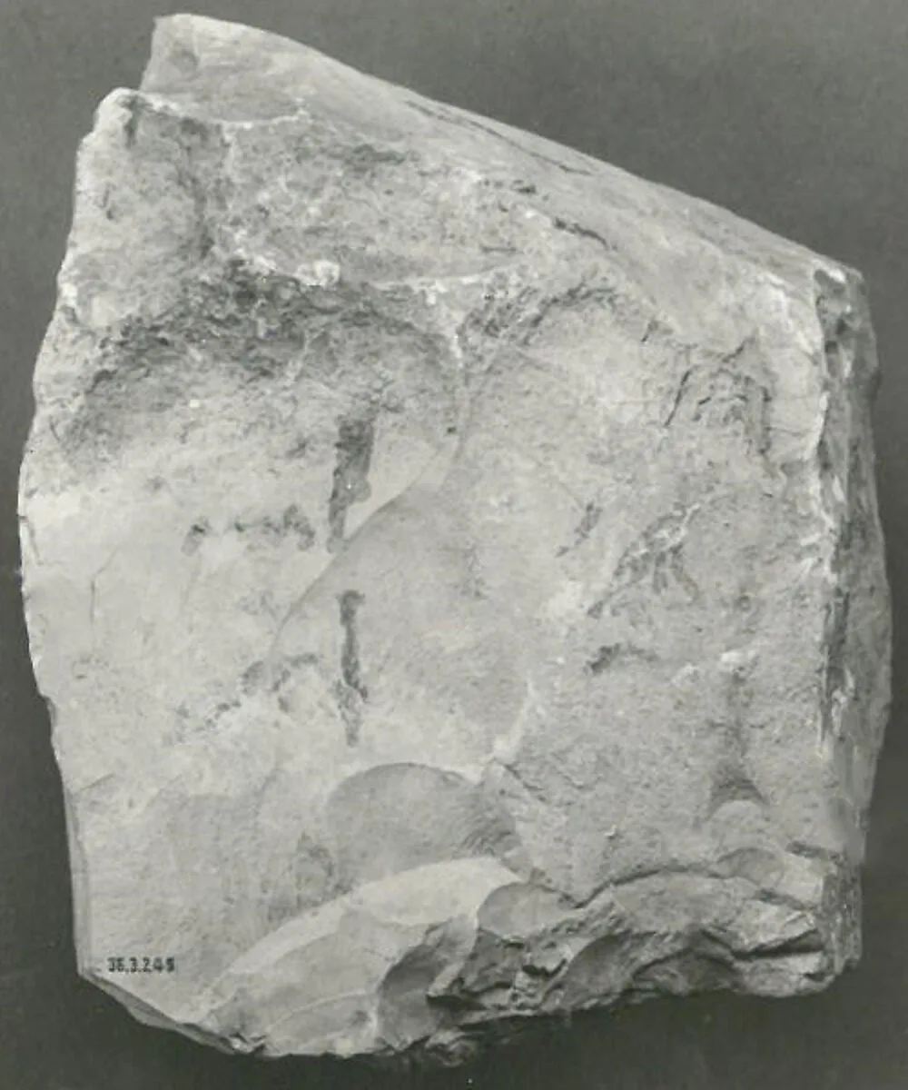 Name Stone of Senenmut — Unknown