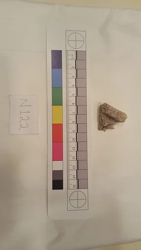 Stucco Fragment