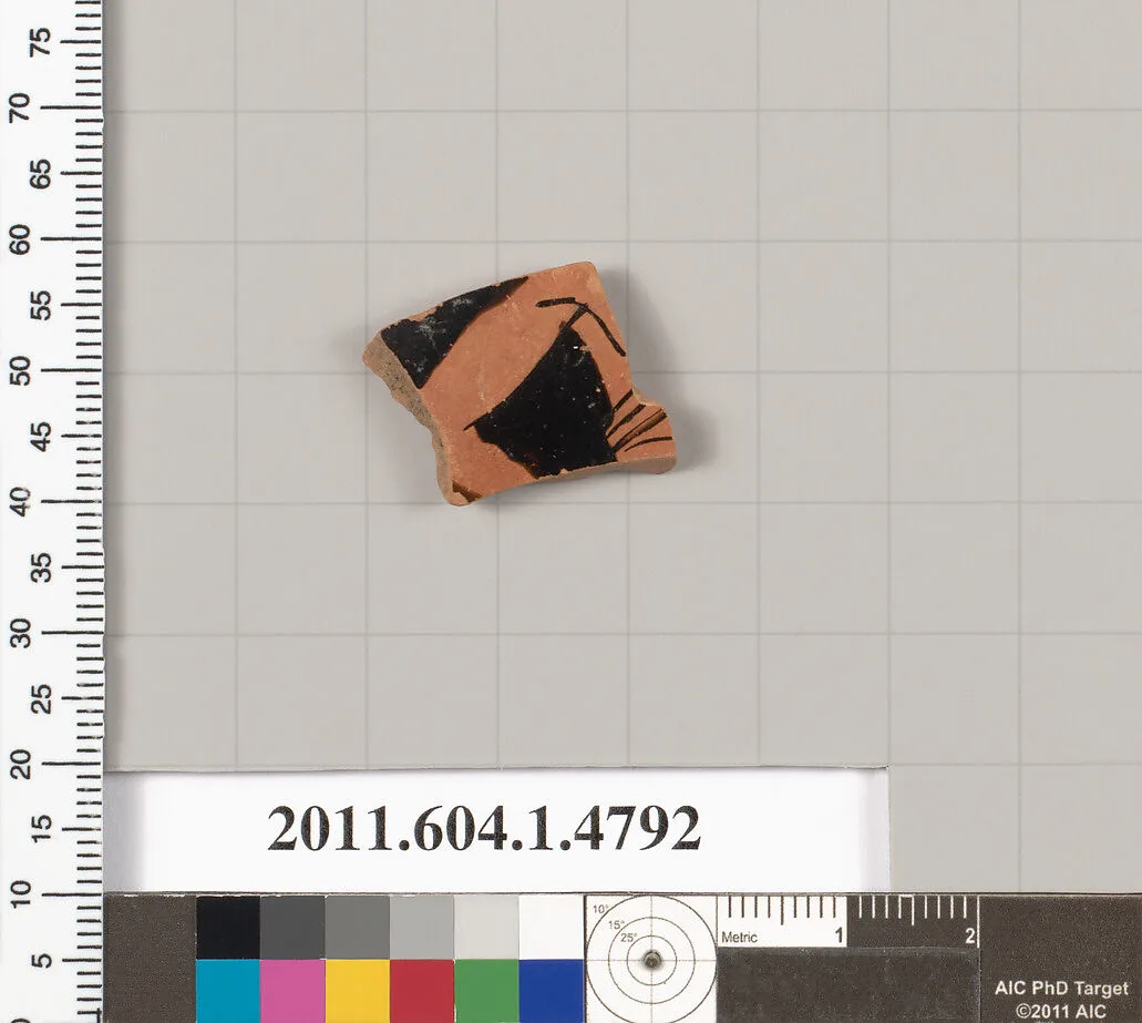 Terracotta fragment of a kylix (drinking cup) — Unknown