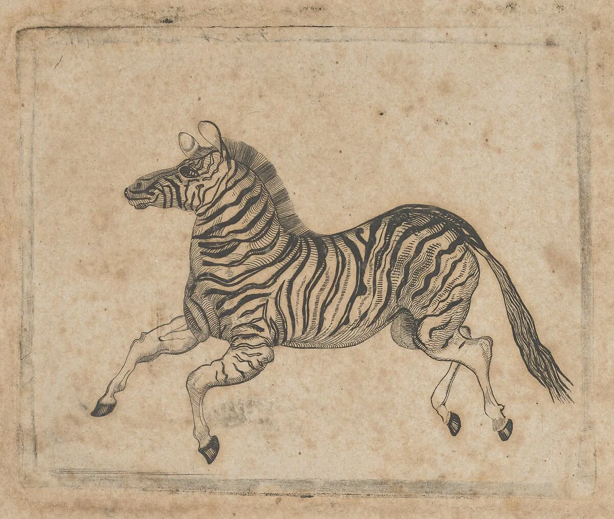 Banknote vignette showing a zebra — Asher Brown Durand|A. B. & C. Durand & Company|Durand, Perkins, and Company