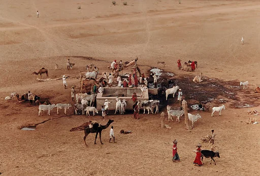 Village Well, Barnawa, Rajasthan