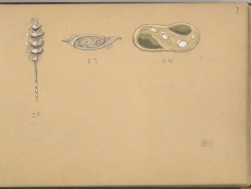 Designs for One Stickpin and Two Ornaments