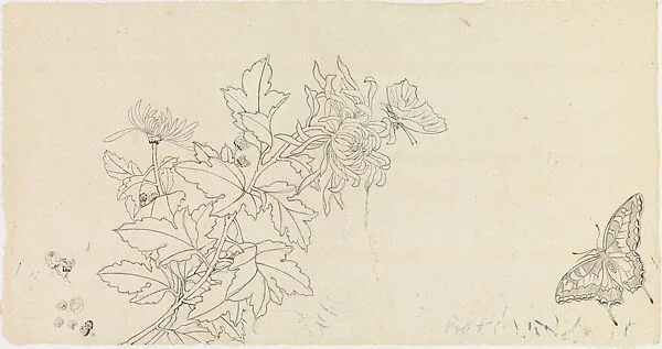 Untitled — Xie Zhiliu