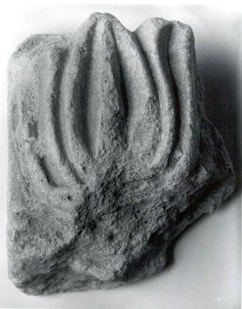 Relief fragment — Unknown