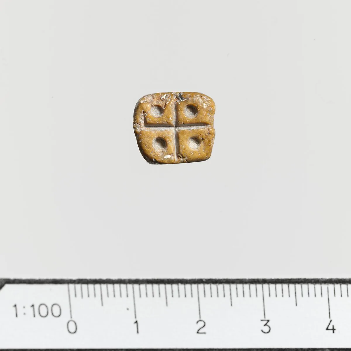 Seal — Unknown