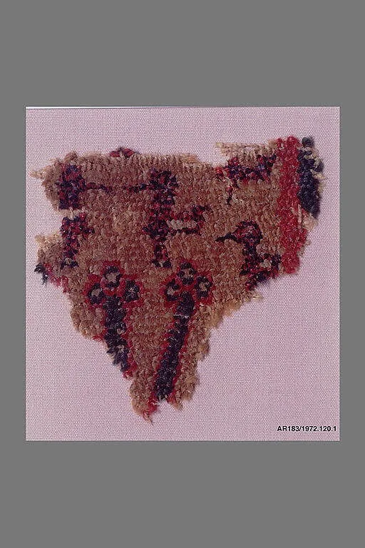 Carpet Fragment — Unknown